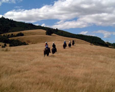 New Zealand-South Island-Alpine Pacific Triangle Ride